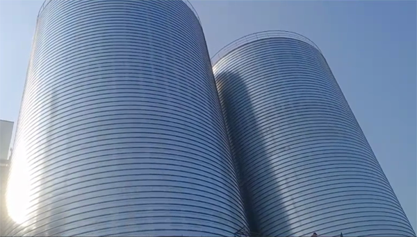 屏边2座混凝土高架卷板仓